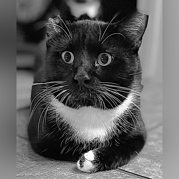 Offers Welcome Here!!! - Picture 4 of 7